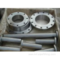 BL blind stainless steel RF flanges
